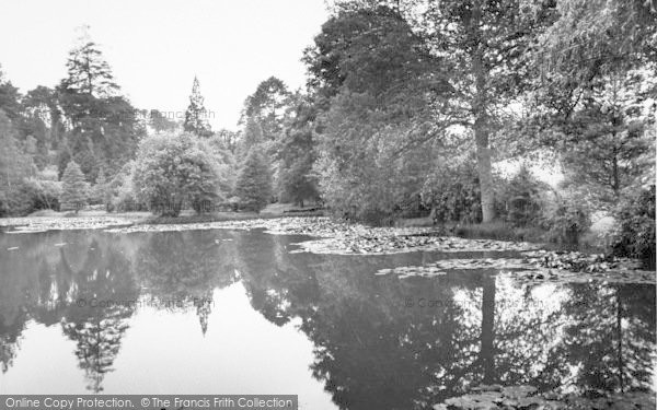 Photo of Bedgebury, Pinetum c.1960