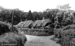 Thatched Cottages c.1960, Beech