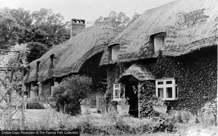 Photo of Beech, Wellhouse Cottages c.1955