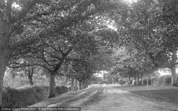 Photo of Beer, Bovey Avenue 1901