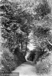 Path To Golf Links 1907, Beer