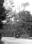 Children In The Botanic Gardens 1936, Belfast