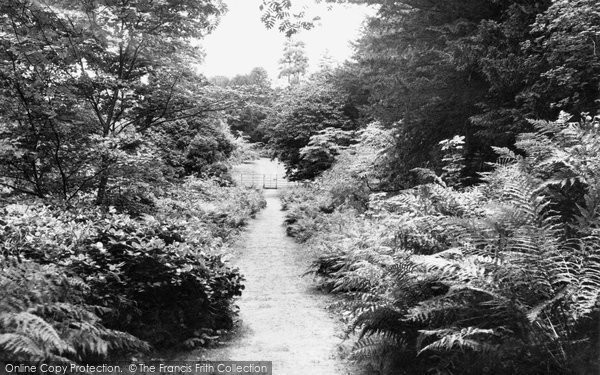 Photo of Belsay, Garden Walk c.1955