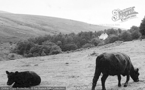 Photo of Belstone, The Skaigh Valley c.1960