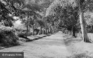 Ducie Avenue c.1955, Bembridge