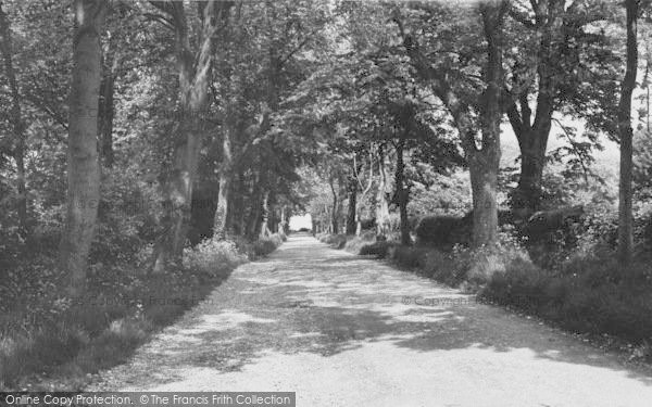 Photo of Bembridge, Ducie Avenue c.1960 - Francis Frith