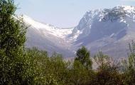 N.E. Face Over Allt A'mhullinn Glen From Across Great Glen c.1975, Ben Nevis