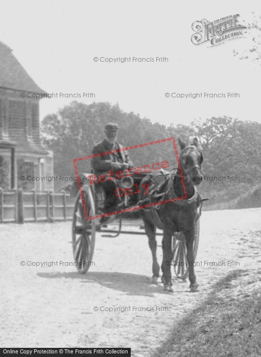 Photo of Benenden, A Horse And Cart In The Village 1901