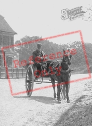 A Horse And Cart In The Village 1901, Benenden