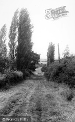 Benfleet, Windermere Road c.1960, Benfleet Creek