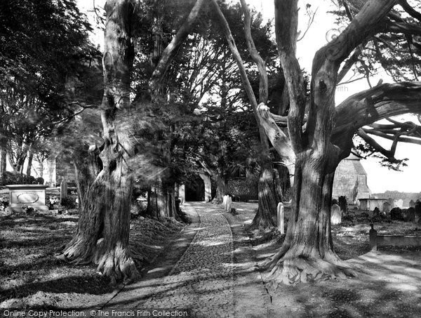 Photo of Bentley, The Church And Yew Trees 1929
