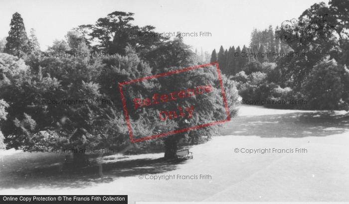 Photo of Berkhamsted, Ashridge College Grounds c.1960