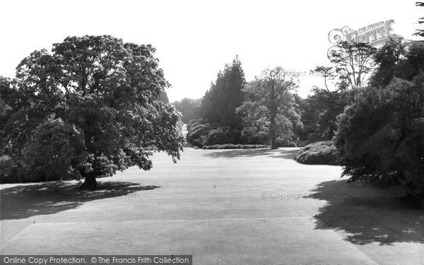 Photo of Berkhamsted, Queen Victoria's Oak, Ashridge Gardens c.1960