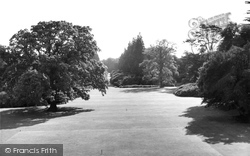 Queen Victoria's Oak, Ashridge Gardens c.1960, Berkhamsted