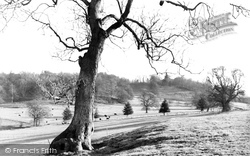Vaynor Park c.1955, Berriew