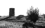 Previous photo
