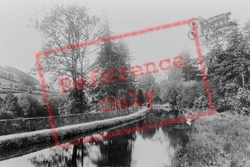 On The Canal 1896, Berwyn