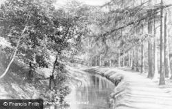 The Canal c.1900, Berwyn