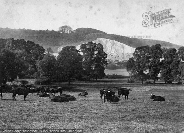 Photo of Betchworth, Hill From Spring Meadow 1906