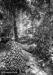 In The Grounds, Plas Y Nant c.1930, Betws Garmon