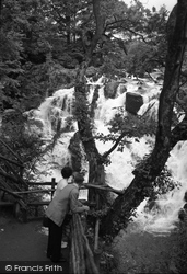 The Viewpoint At Swallow Falls 1953, Betws-Y-Coed