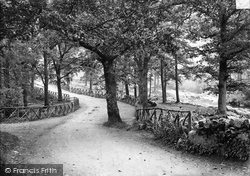 The Woods, Pont-Y-Pair c.1880, Betws-Y-Coed
