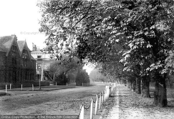 Photo of Beverley, New Walk 1894