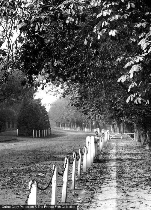 Photo of Beverley, New Walk 1894