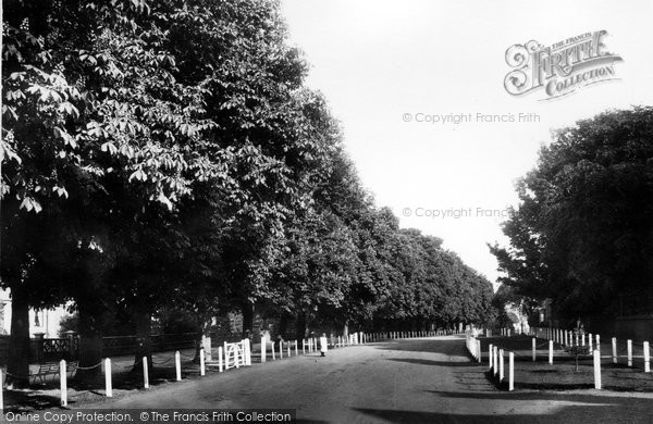 Photo of Beverley, New Walk 1900