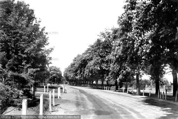 Photo of Beverley, New Walk 1900