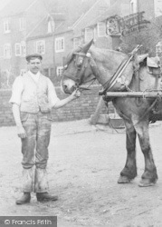 John Tolley's Horse c.1900, Bewdley