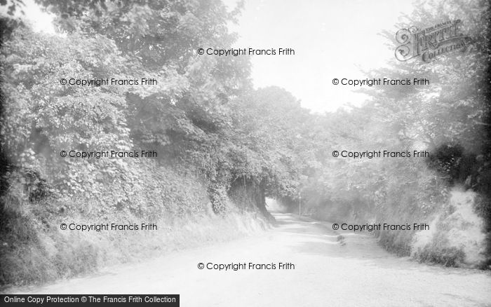 Photo of Bexhill, Chantry Lane 1891