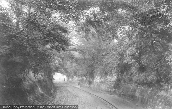 Photo of Bexhill, Chantry Lane, Old Town 1903