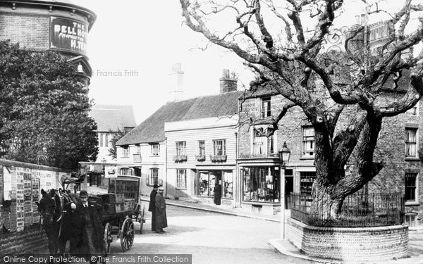 Photo of Bexhill, Old Town, Walnut Tree 1897