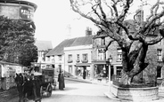 Old Town, Walnut Tree 1897, Bexhill