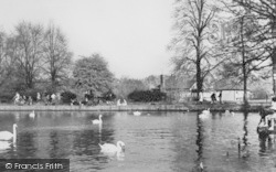 Danson Park c.1955, Bexleyheath