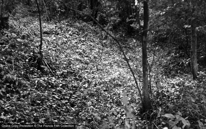 Photo of Bicester, Ardley Castle Mound 1952