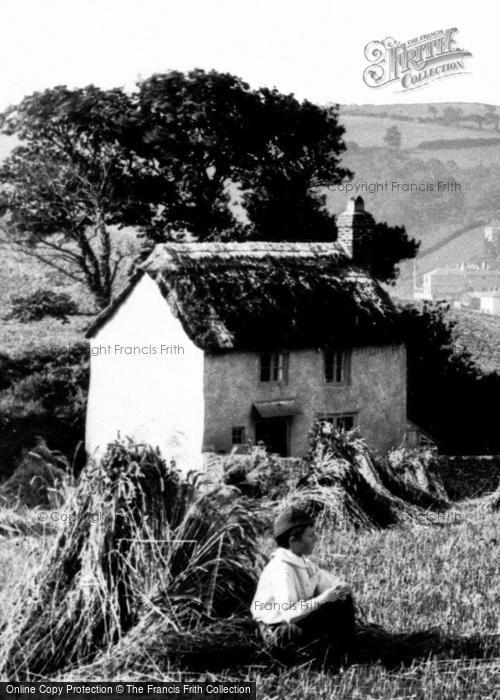 Photo of Bideford, Cottage In Cornfield 1890
