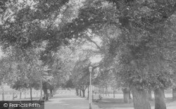 The Park 1919, Bideford