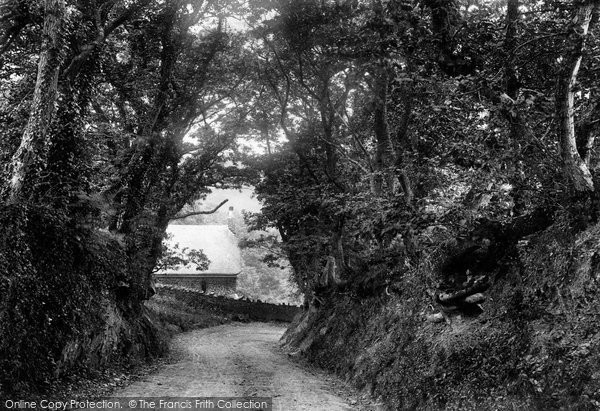 Photo of Bideford, Upcott Lane 1906