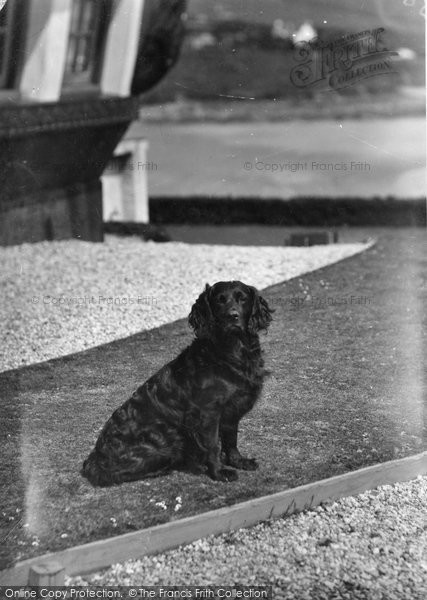 Photo of Bigbury On Sea, 'ruin' The Pet At  Burgh Island Hotel c.1933