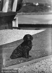 'ruin' The Pet At  Burgh Island Hotel c.1933, Bigbury-on-Sea