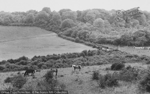 Photo of Biggin Hill, Jewels Wood And Salt Box c.1960