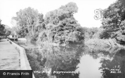 The River c.1960, Biggleswade