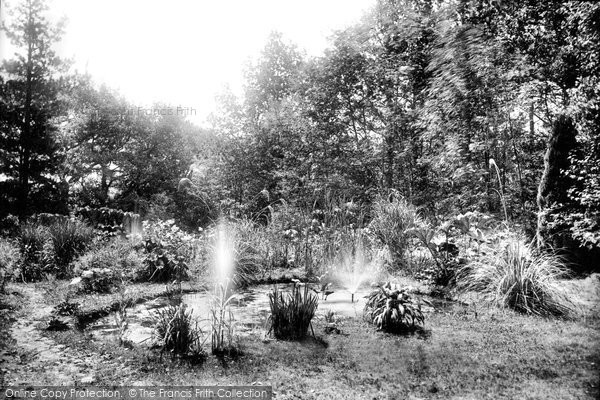 Photo of Bignor, Bignor Park Bog Garden 1908