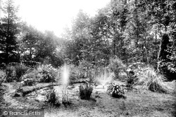 Bignor Park Bog Garden 1908, Bignor