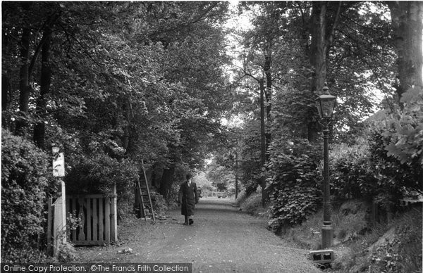 Photo of Billericay, Lion Lane c.1955
