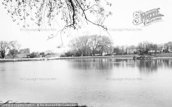 Photo of Billericay, The Lake And Park c.1960