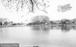 The Lake And Park c.1960, Billericay