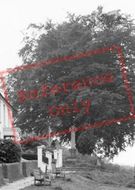 War Memorial c.1960, Billingshurst